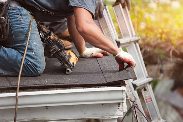 Best Roof Gutter Cleaning  in Hendron, KY